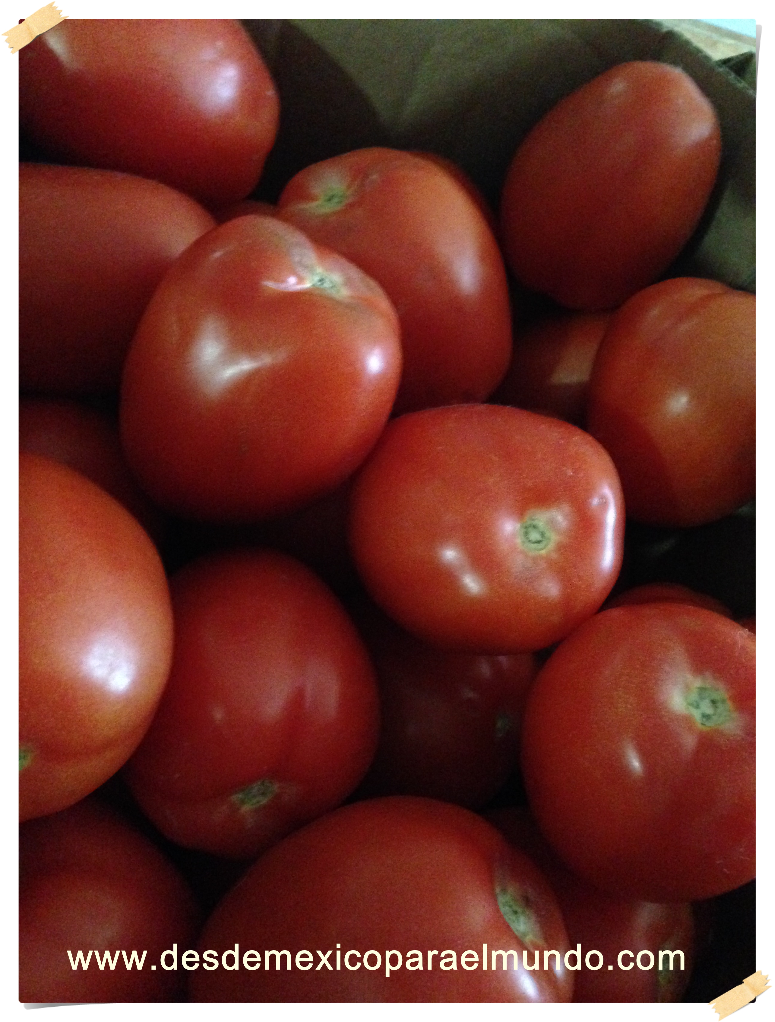 A la mejor cocinera se le va el tomate entero